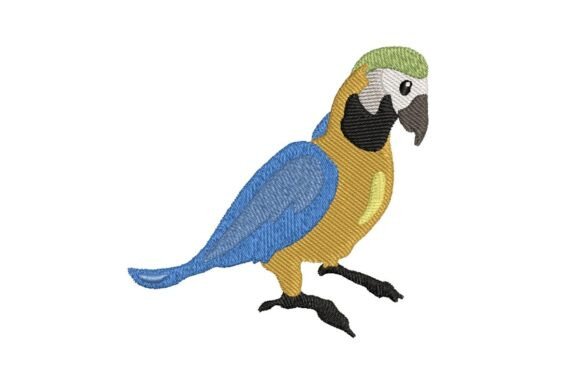 Colorful Parrot Embroidery Design