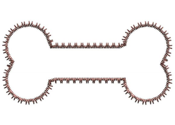 Elegant Dog Bone Embroidery Design
